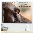 Attila, Der Hundekönig (hochwertiger Premium Wandkalender 2025 DIN A2 quer), Kunstdruck in Hochglanz - Heike Hultsch