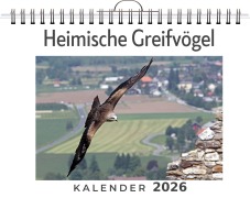 Cover-Bild zum Titel 'Heimische Greifvögel' von 'Ava Krüger'
