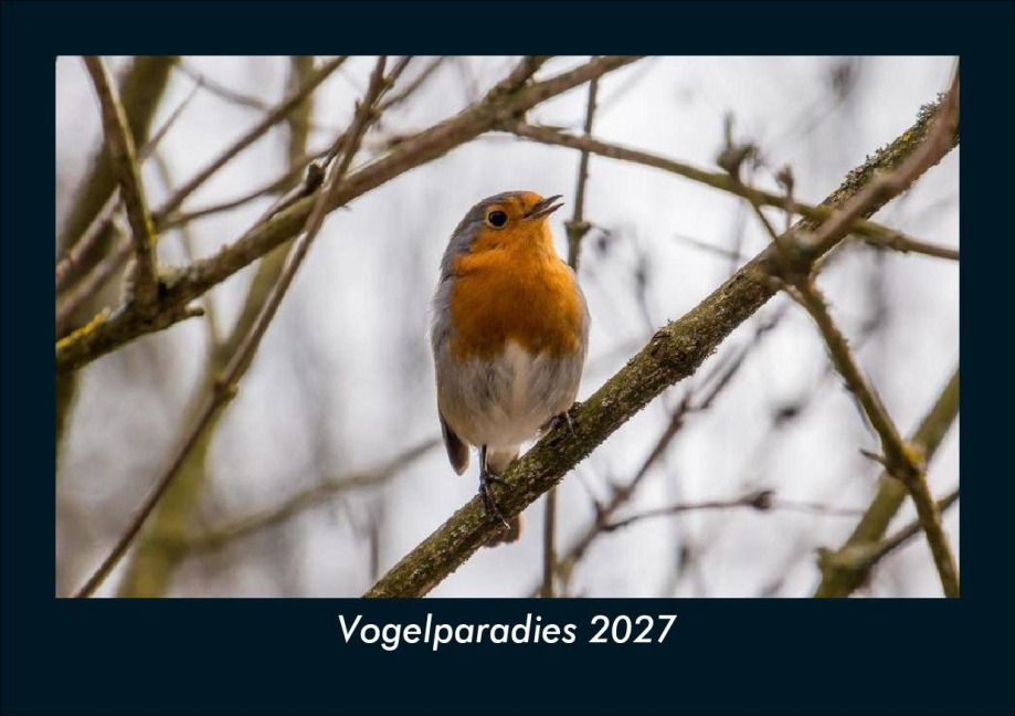 Vogelparadies 2027 Fotokalender DIN A5 - Tobias Schmitt, Kevin Heber