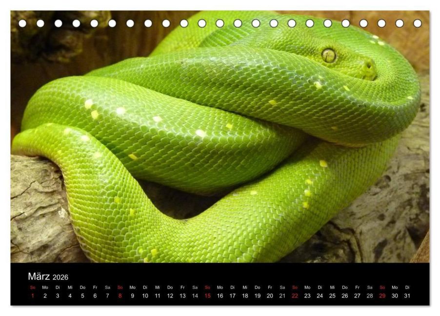 InsideView 8