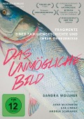 Cover-Bild zum Titel 'Das unmögliche Bild' von 'Sandra Wollner, Joscha Eickel'
