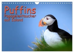 Cover-Bild zum Titel 'Puffins - Papageientaucher auf Island (Wandkalender 2026 DIN A4 quer), CALVENDO Monatskalender' von 'Gerd-Uwe Neukamp'