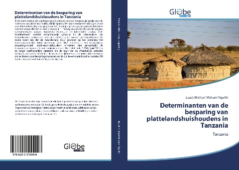 Determinanten van de besparing van plattelandshuishoudens in Tanzania - Isaack Michael Mchumi Nguliki