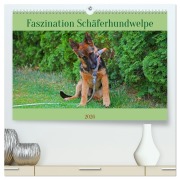 Faszination Schäferhundwelpe (hochwertiger Premium Wandkalender 2026 DIN A2 quer), Kunstdruck in Hochglanz - Babett Paul - Babetts Bildergalerie
