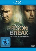 Prison Break - Paul Scheuring, Zack Estrin, Nick Santora, Karyn Usher, Matt Olmstead