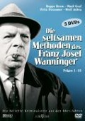 Cover-Bild zum Titel 'Die seltsamen Methoden des Franz Josef Wanninger' von 'Werner Bardili, Theo van Alst, Georg Althammer, Wolfgang Mühlbauer, Stefan Gommermann'