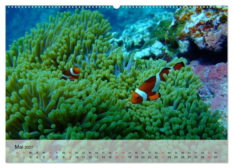 InsideView 10