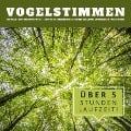 Cover-Bild zum Titel 'Vogelstimmen im Wald: Sanfte Naturgeräusche zum Einschlafen, Entspannen, Meditieren' von 'Naturgeräusche Archiv Potsdam'