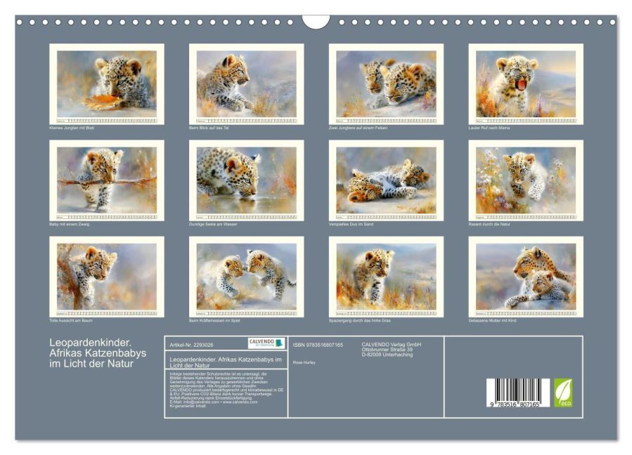 InsideView 5
