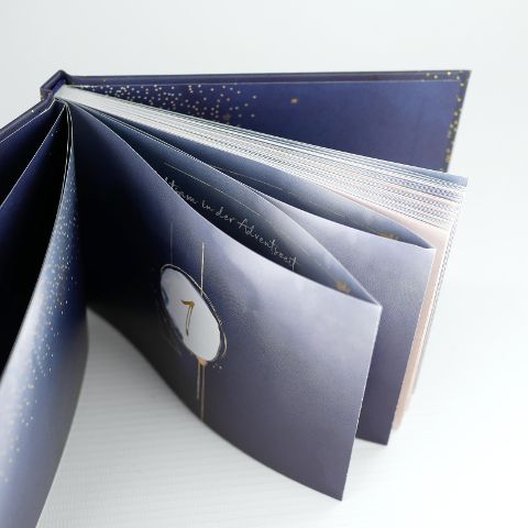 InsideView 5