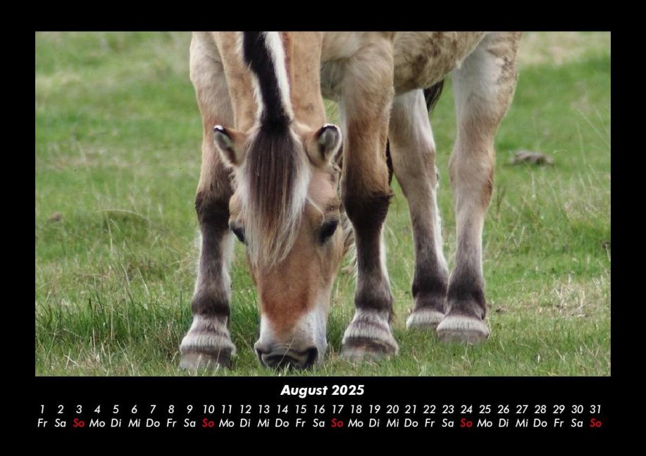 InsideView 12
