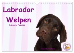 Labrador Welpen - Labrador Puppies (Wandkalender 2025 DIN A4 quer), CALVENDO Monatskalender - Jeanette Hutfluss