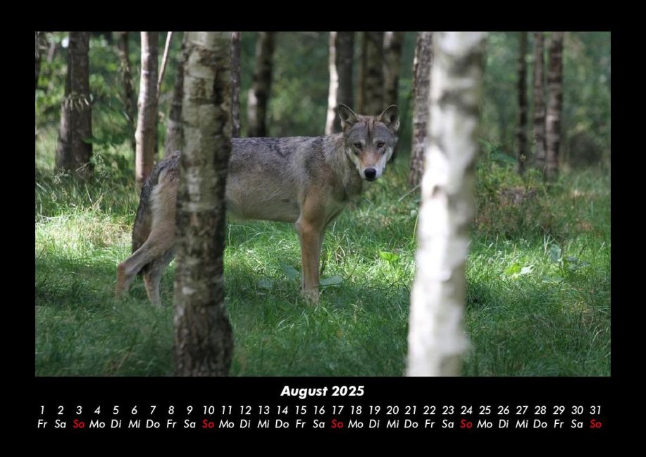 InsideView 12