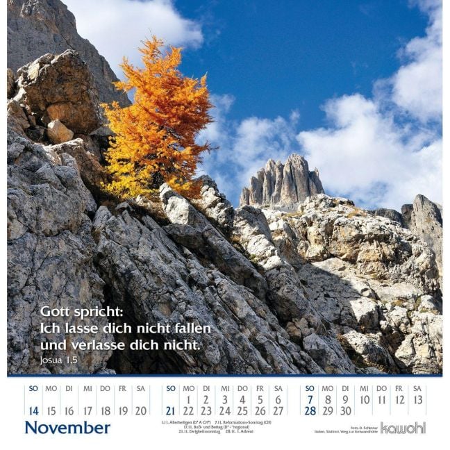 InsideView 10