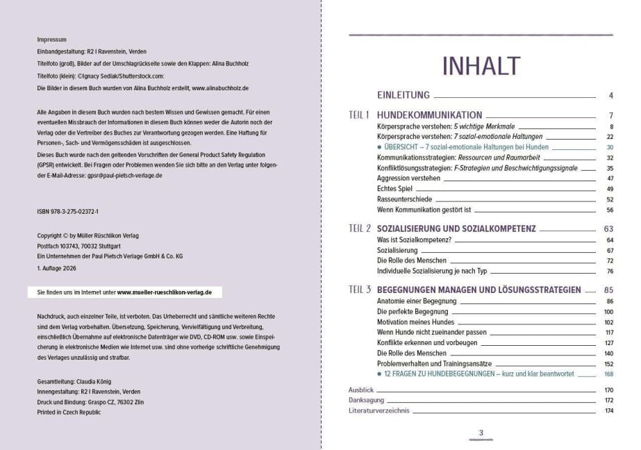 InsideView 1