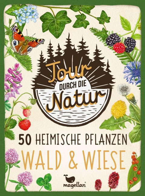 Tour durch die Natur - 50 heimische Pflanzen - Wald & Wiese - 
