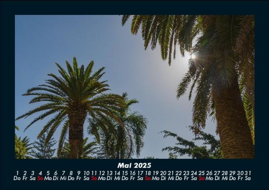 InsideView 9