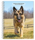 German Shepherds 2025 6 X 7.75 Inch Spiral-Bound Wire-O Weekly Engagement Planner Calendar New Full-Color Image Every Week - Browntrout