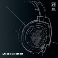 Sennheiser HD 800-Crafted Fo - Various