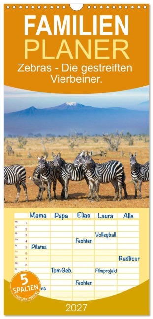 Familienplaner 2027 - Zebras - Die gestreiften Vierbeiner. mit 5 Spalten (Wandkalender, 21 x 45 cm) CALVENDO - M. Scott