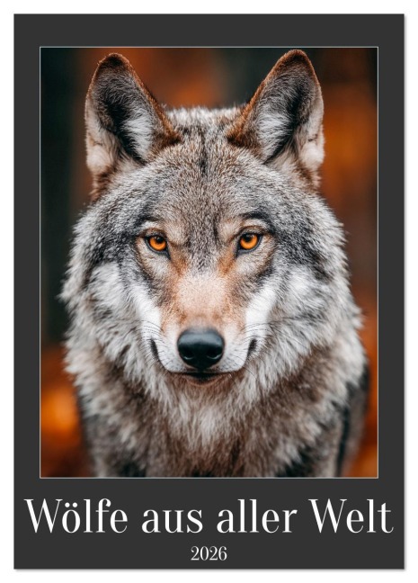 Wölfe aus aller Welt (Tischkalender 2026 DIN A5 hoch), CALVENDO Monatskalender - Mb Fotografie