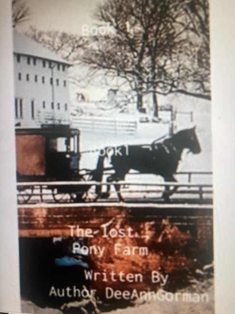 The Lost Pony Farm - Deeann Gorman