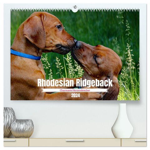 Rhodesian Ridgeback, Charmante Herzensbrecher (hochwertiger Premium Wandkalender 2024 DIN A2 quer), Kunstdruck in Hochglanz - Dagmar Behrens