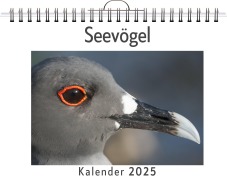 Cover-Bild zum Titel 'Seevögel' von 'Aaron Hartmann'