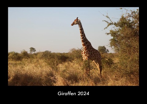 Giraffen 2024 Fotokalender DIN A3 - Tobias Becker