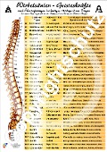 Cover-Bild zum Titel 'Wirbelsäulen-Geisteskräfte Übersichtskarte DIN A4' von 'Tanja Aeckersberg'