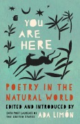 Cover-Bild zum Titel 'You Are Here' von ''