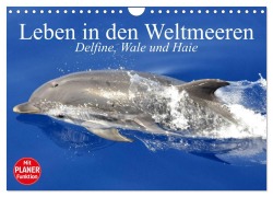 Cover-Bild zum Titel 'Leben in den Weltmeeren. Delfine, Wale und Haie (Wandkalender 2026 DIN A4 quer), CALVENDO Monatskalender' von 'Elisabeth Stanzer'