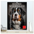 Berner Sennenhund - gutmütig und treu (hochwertiger Premium Wandkalender 2024 DIN A2 hoch), Kunstdruck in Hochglanz - Peter Roder