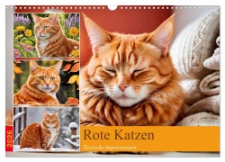 Rote Katzen (Wandkalender 2026 DIN A3 quer), CALVENDO Monatskalender - Steffani Lehmann