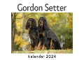 Cover-Bild zum Titel 'Gordon Setter (Wandkalender 2024, Kalender DIN A4 quer, Monatskalender im Querformat mit Kalendarium, Das perfekte Geschenk)' von 'Anna Müller'