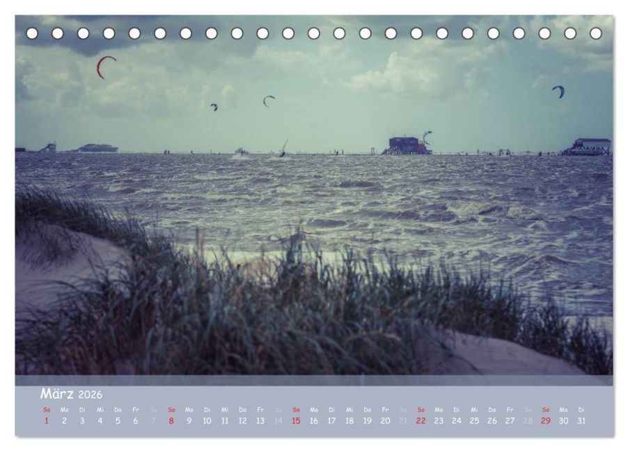 InsideView 8