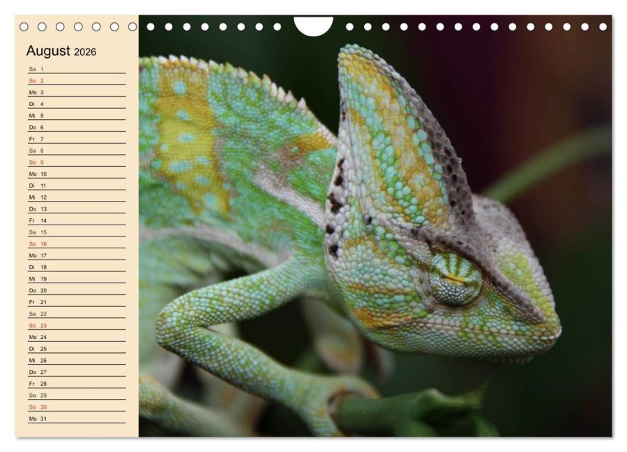 InsideView 13