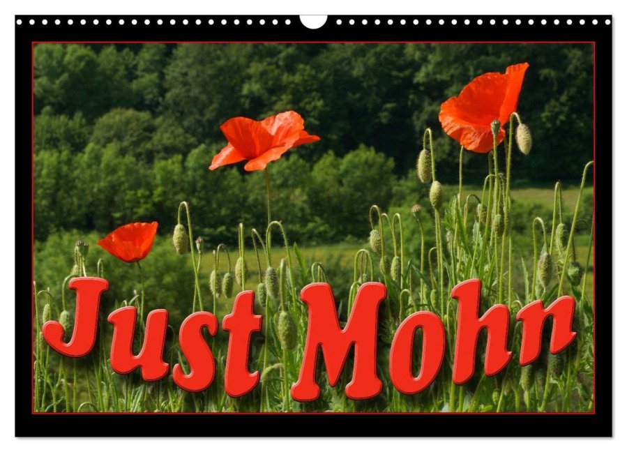 Just Mohn (Wandkalender 2026 DIN A3 quer), CALVENDO Monatskalender - Flori Flori0