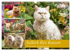 Selkirk Rex Katzen. Lockenzauber im Blumengarten (Wandkalender 2026 DIN A3 quer), CALVENDO Monatskalender - Rose Hurley
