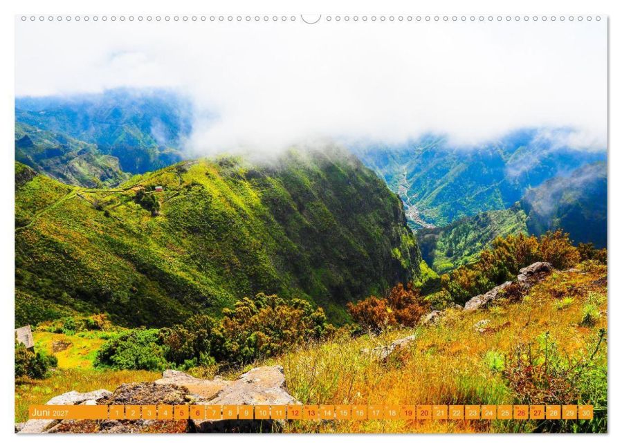 InsideView 10
