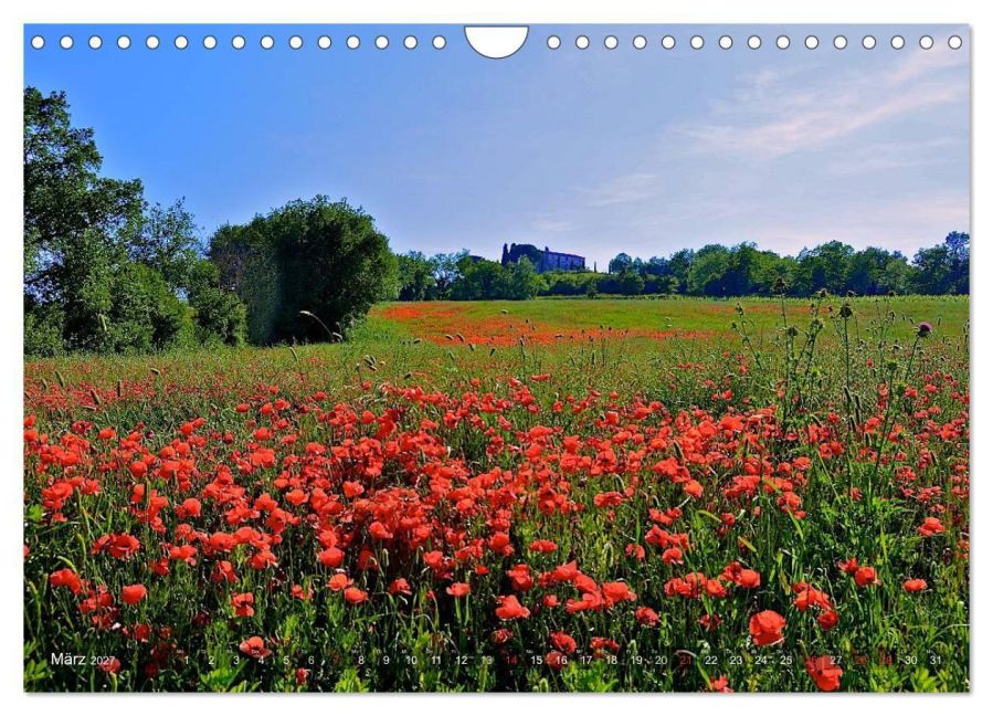InsideView 8