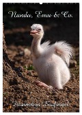 Nandu, Emu & Co. (Wandkalender 2024 DIN A2 hoch), CALVENDO Monatskalender - Martina Berg