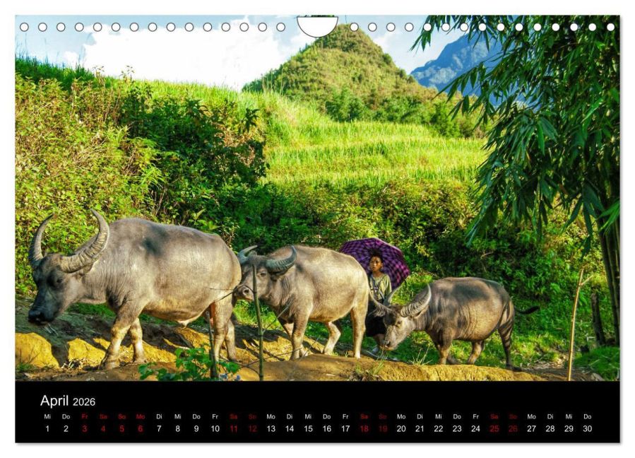 InsideView 9