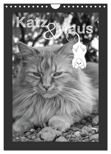 Katz & Maus (Wandkalender 2026 DIN A4 hoch), CALVENDO Monatskalender - Julia Schäfer