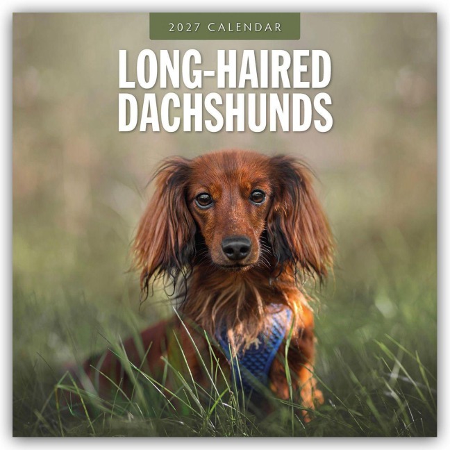 Long-Haired Dachshunds - Langhaardackel 2027 - 16-Monatskalender - Robin Red