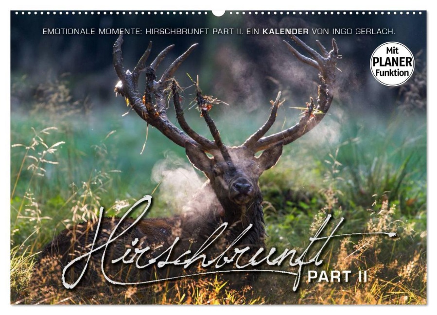 Emotionale Momente: Hirschbrunft. Part II. (Wandkalender 2026 DIN A2 quer), CALVENDO Monatskalender - Ingo Gerlach GDT