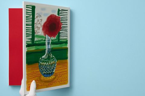InsideView 17