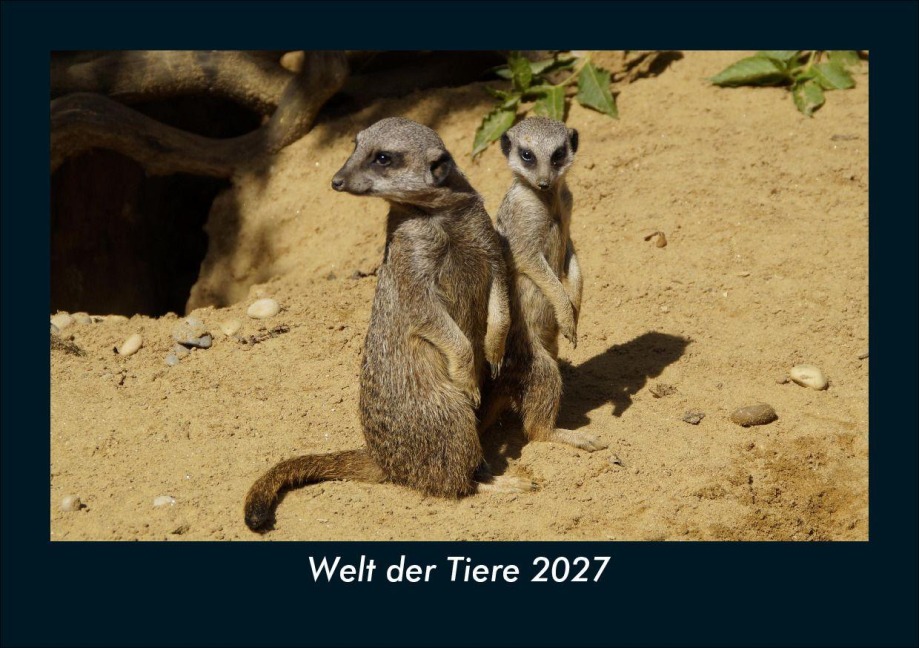 Welt der Tiere 2027 Fotokalender DIN A5 - Tobias Schmitt, Kevin Heber