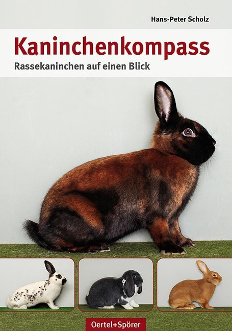 Kaninchen-Kompass - Hans-Peter Scholz