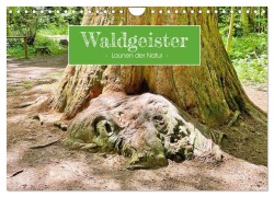 Cover-Bild zum Titel 'Waldgeister - Launen der Natur (Wandkalender 2026 DIN A4 quer), CALVENDO Monatskalender' von 'Angelika Keller'